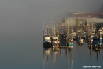ANB Harbor on a Foggy Morning
